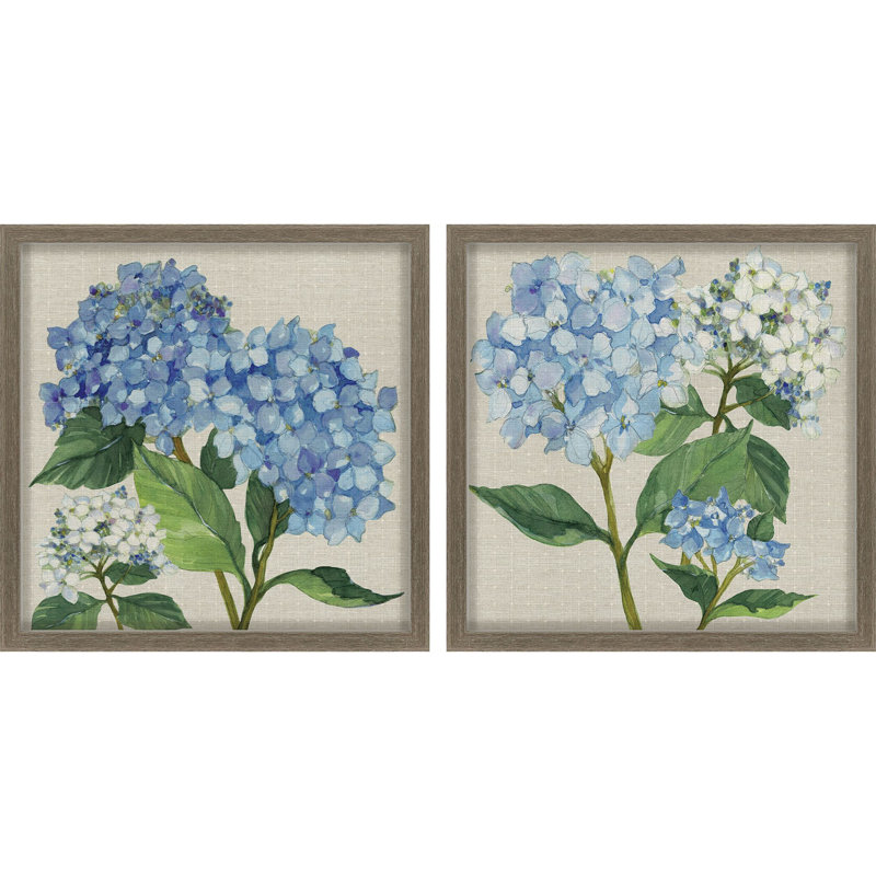 Hydrangea Study Framed Art