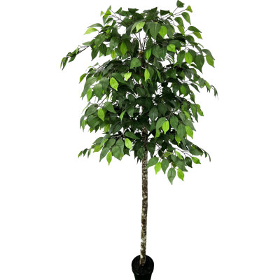 Hand-Made Primrue Modern 6.5'' Artificial Ficus Tree