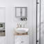 Dayaan Wall Mounted Mirror Cabinet W/ Double Mirror Doors & Adjustable Shelf