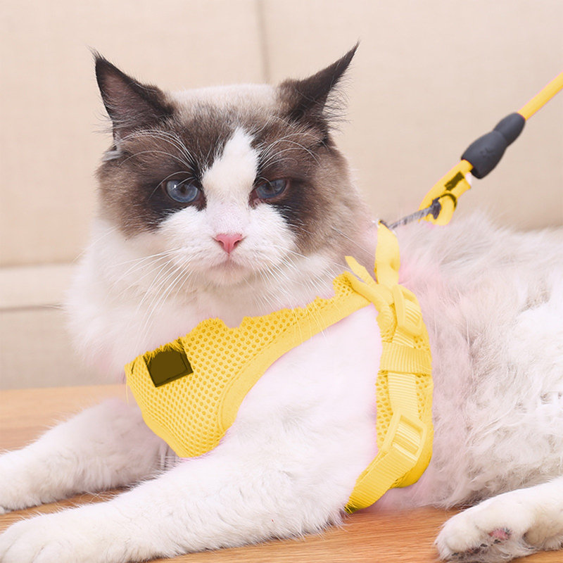 Harnais pour chien Pet Leash, Jaune