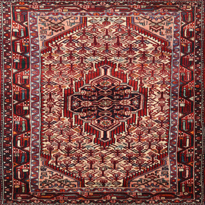 Oriental Indoor Rug