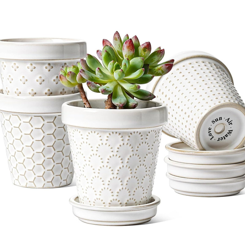 4" Mini Ceramic Succulent Pots With Saucer