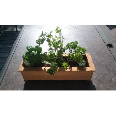 Jayne Handmade Wood Planter Box