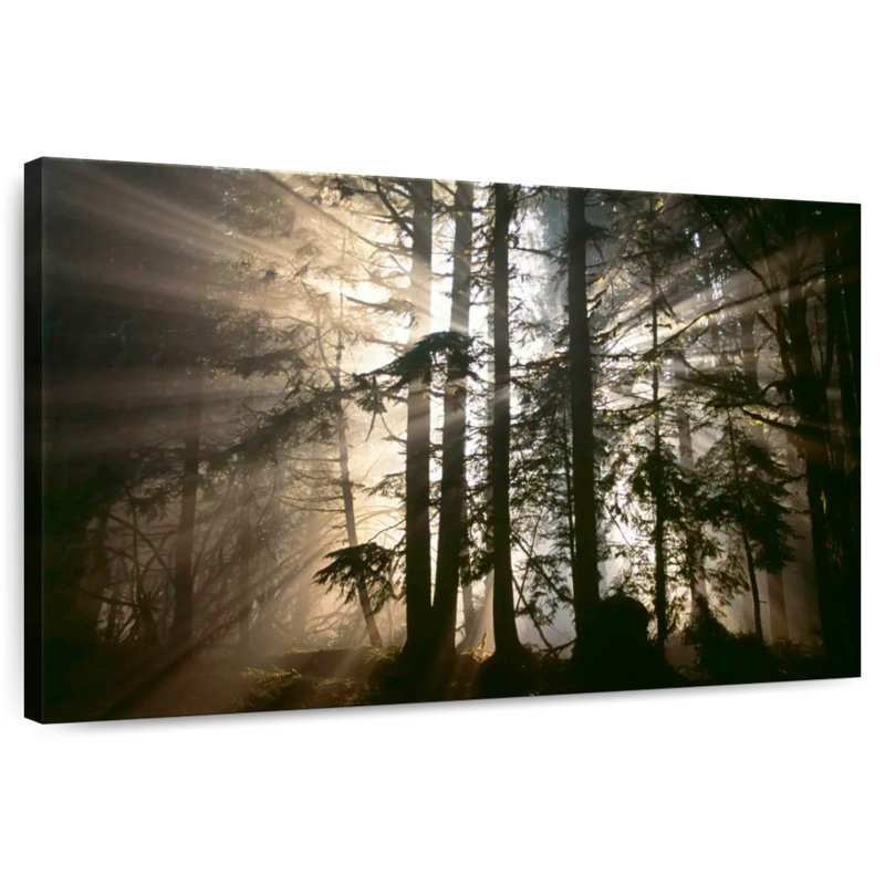 Alvord Morning Has Broken, 26" H x 39" W