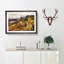 Mountain View in Scotland - Framed Print-56633468-56633470