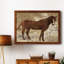 Cheval occidental I - cadre photo, impression sur toile-1565770811-1565770808