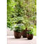 Plant Pot-72816986-72816987