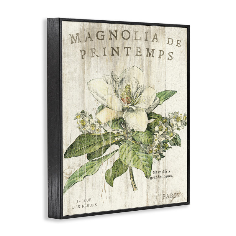 Magnolias français au printemps surdimensionné, art numérique sur estampe numérique par Sue Schlabach, H 20 po x l 16 po