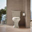 Lustra with Quick-Release Hinges Toilet Seat-342726768-342726763