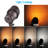 Integrated LED Metal Hardwired Spotlight, Color Temperature Selectable Landscape Lighting