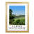 Oak Wood Frame selected