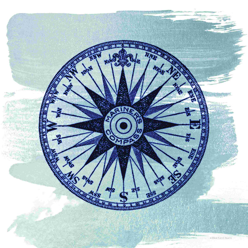 Rose boussole brossé bleu minuit, L 12 po x H 12 po