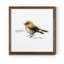 Mixed signaux I-reproduction de photo sur toile encadrée-1481400219-1481400212
