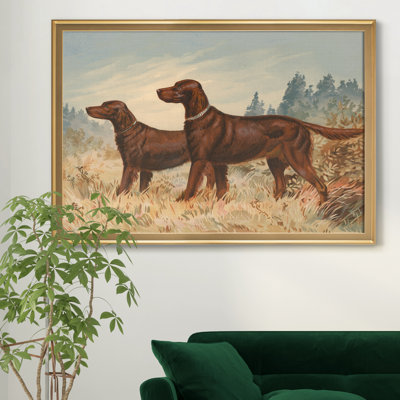 " Irish Setter II "
