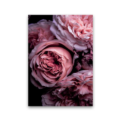 Vintage Pink by Victoria Frost - Print
