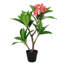 Plumeria artificiel 27 po en pot