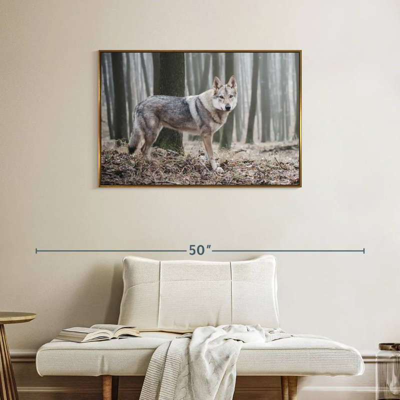 Loup d'hiver brumeux, Cadre flottant doré, 37 po x 25 po