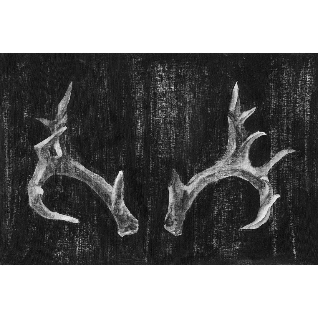 Leinwandbild Rustic Antlers I von Ethan Harper