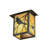 Solid Brass Wall Light