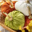 Velours de coton multicolore trio de citrouilles S / 3