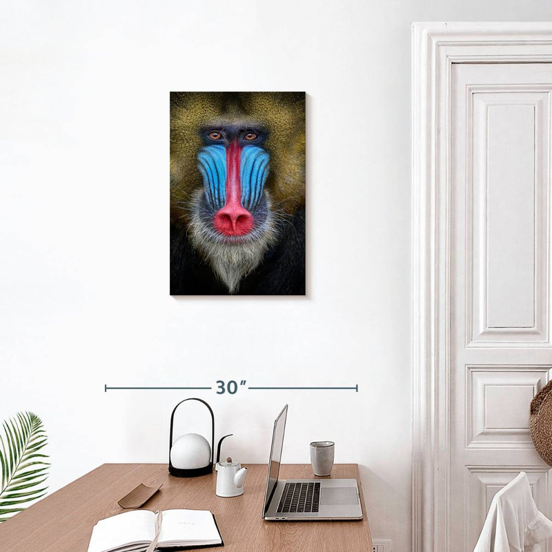 Brampt Mandrill Monkey, 24" H x 16" W