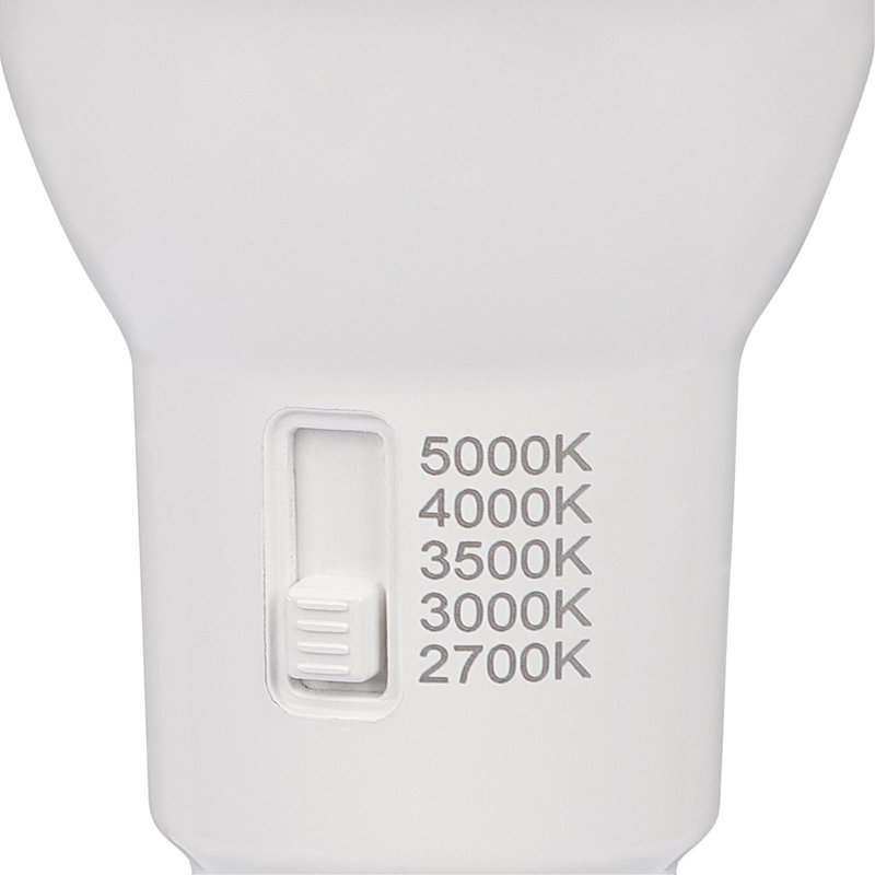 Ampoules DEL Westinghouse 9 W (équivalent 65 W) Frost BR30, culot moyen (E26), à intensité variable et température de couleur sélectionnable, lot de 6