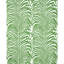 Tissu palmier zébré-31247114