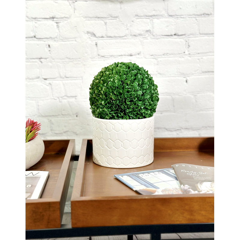 Faux buis préservé, H 7,25 po x l 7,25 po x P 7,25 po