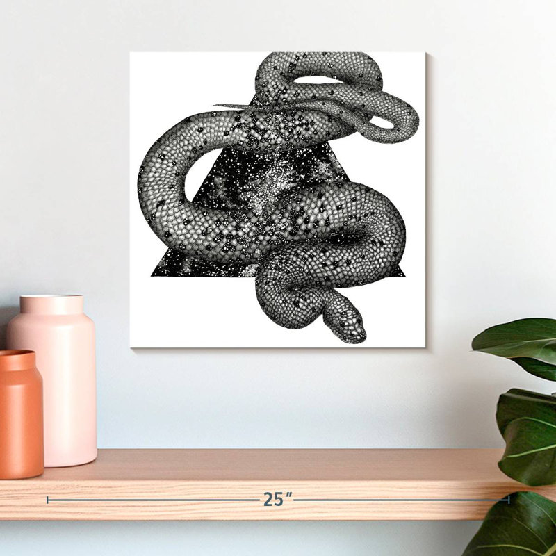 Crowle Cosmic Snake, 16" H x 16" W