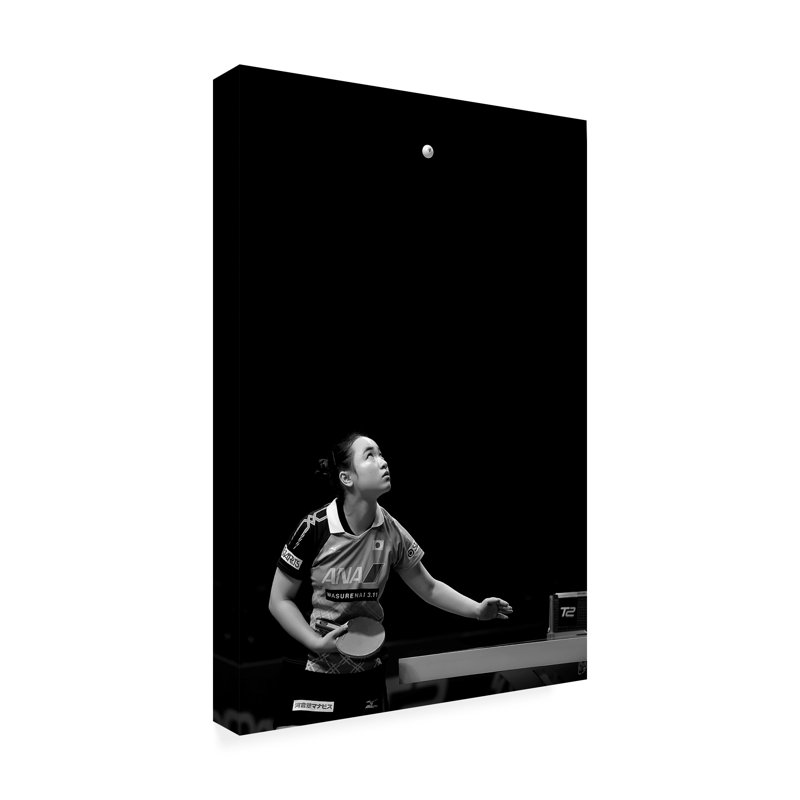 Bolog Rob Li  Serving Canvas Art, 24" H x 16" W
