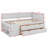 Nickelous Daybed