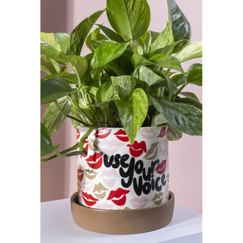 Pot de fleurs en céramique