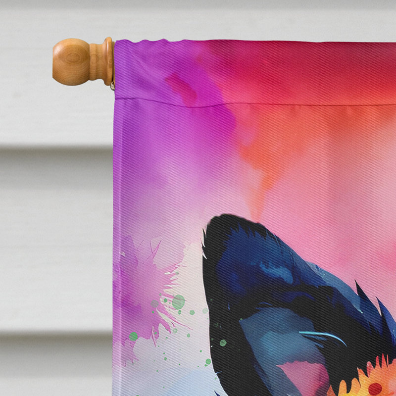 Drapeau de la maison Hippie Dawg, Border Collie