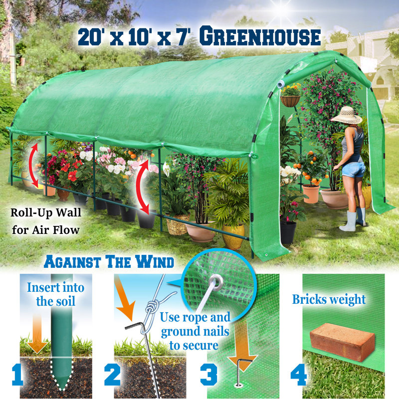 120" W x 120" D Greenhouse