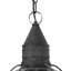 Jolie 1-Light Outdoor Hanging Lantern-205436695