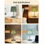 11.4" Dimmable Table Lamps