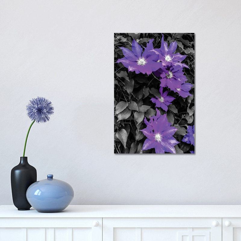 Purple And Grey Clematis by Heidi Bannon - Wrapped Canvas Print, 45.72cm H x 30.48cm W x 1.905cm D