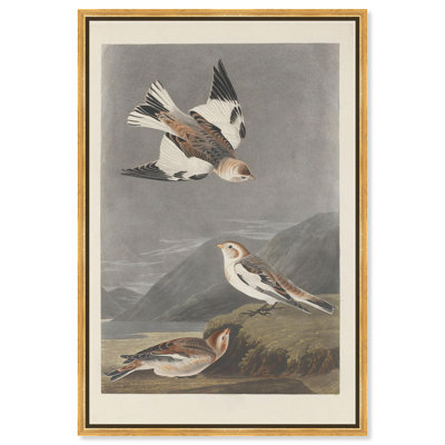 «Northern Trio», reproduction d'art sur toile par Art Remedy