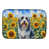 Bearded Collie 6020 est en rupture de stock