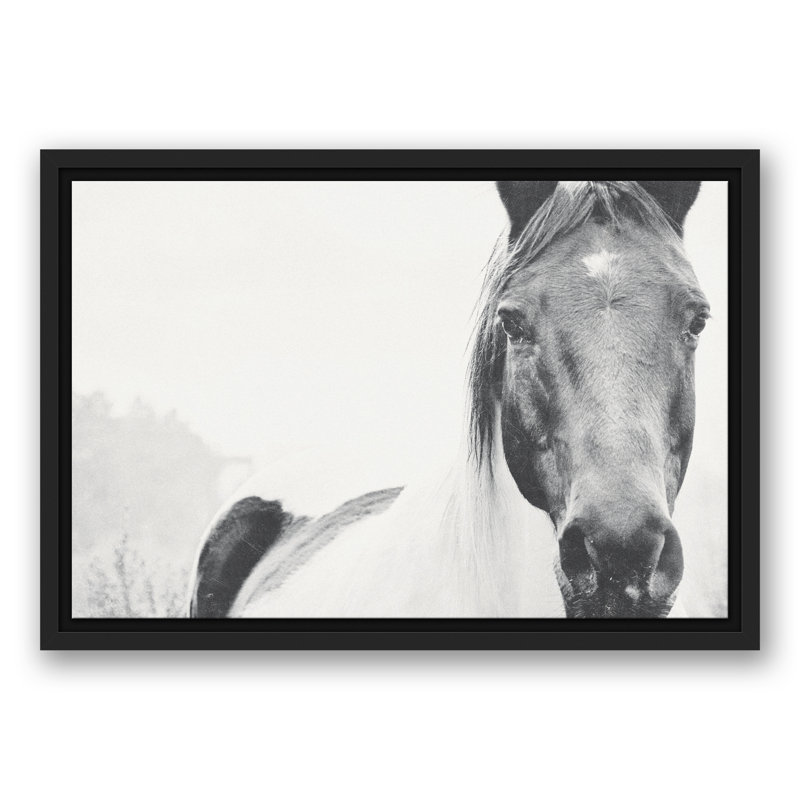 « solitaire cheval », impression sur toile, 21.75" H x 31.75" W, Cadre noir