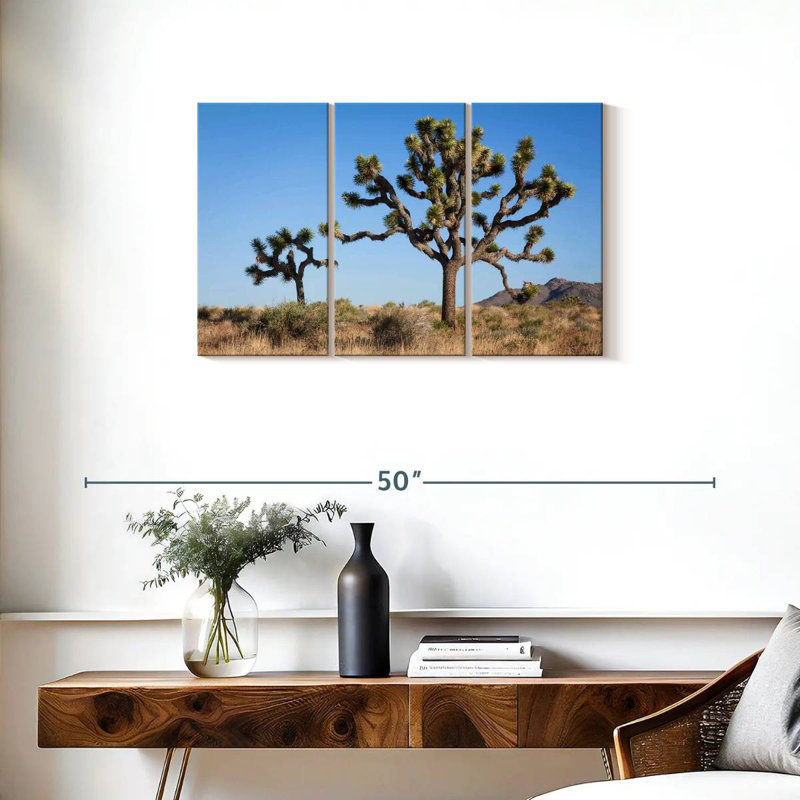 Parc national Harnek Joshua Tree, H 20 po x l 33 po