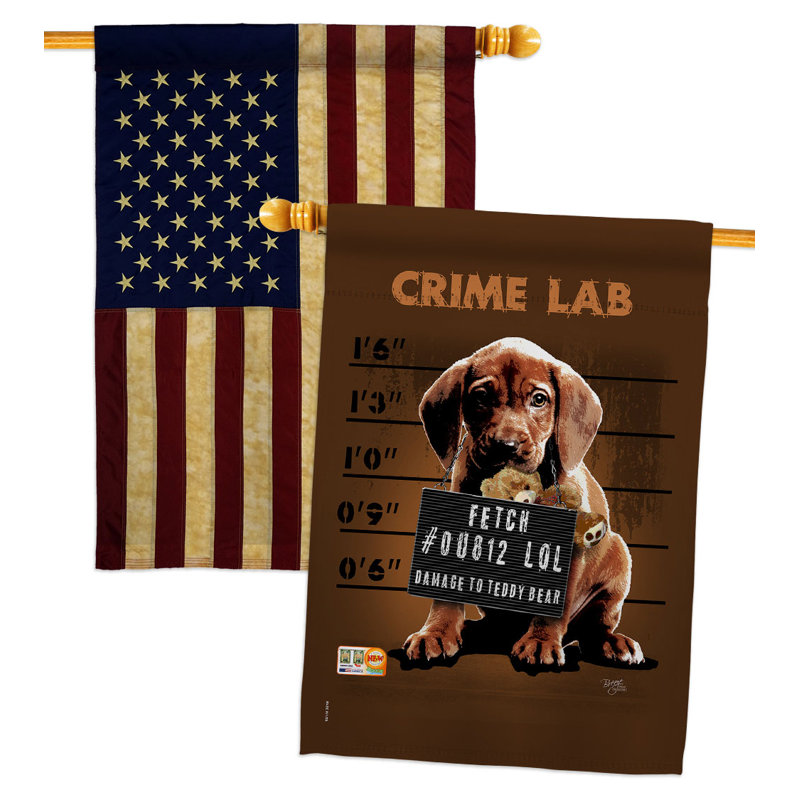 Drapeau de maison 40 po x 28 po en polyester Crime Lab