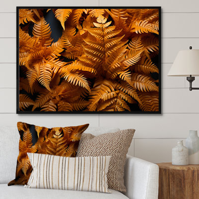 " Orange Ferns Field Vibrant "