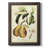 " Printed Tuscan Fruits IV "-1457720949