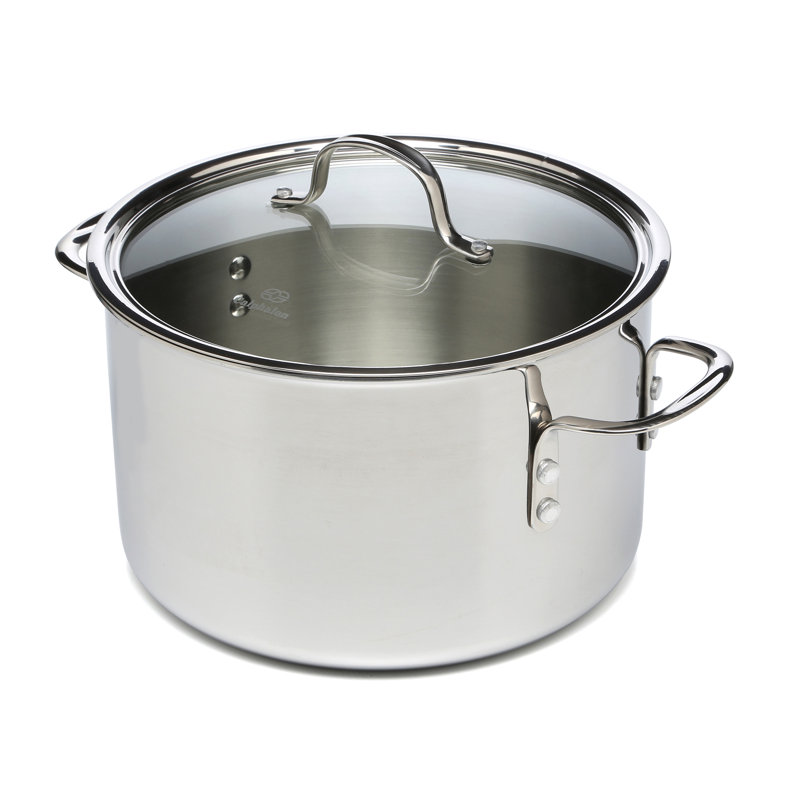 Tri-Ply Stainless Steel 8 Qt Stock Pot with Lid