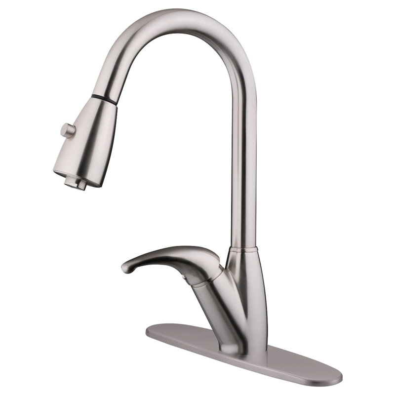 LessCare Pull Out Kitchen Faucet