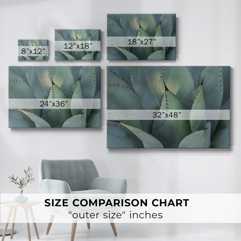 Agave bleue, toile tendue I-Gallery, H 12 po x l 18 po