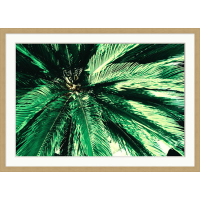 Perspective Matters 3 Print by Mat Sanders