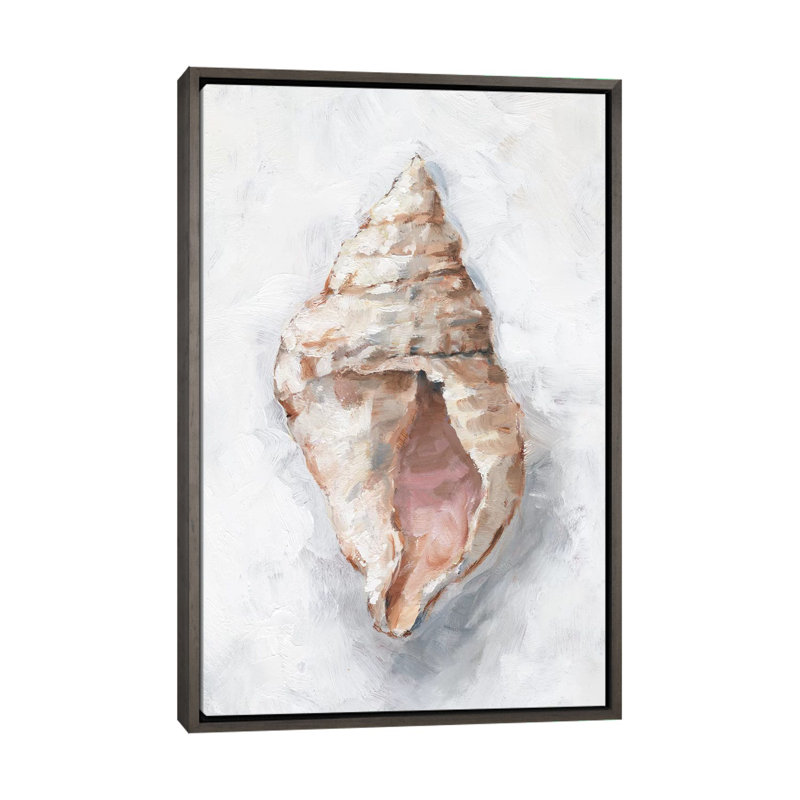 "White Shell Study III" par Ethan Harper, reproduction d’art, Toile encadrée de bois rustique foncé, Pas de tapis