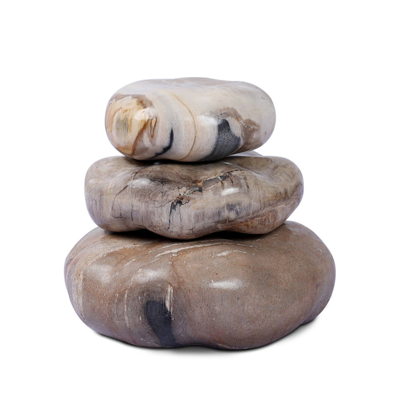 Petrified Wood Organic Sculpture, Light Brown